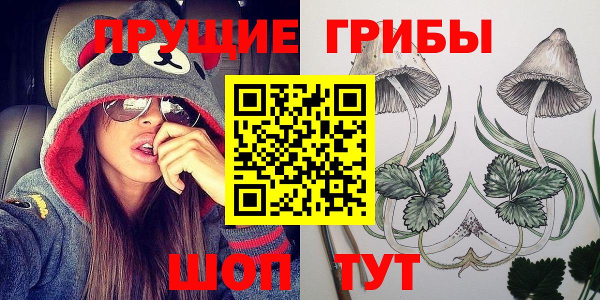 Бугульма  где найти   Вход с VPN  Галлюциногенные грибы мицелий 